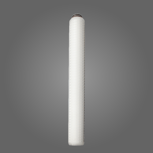 HSLP